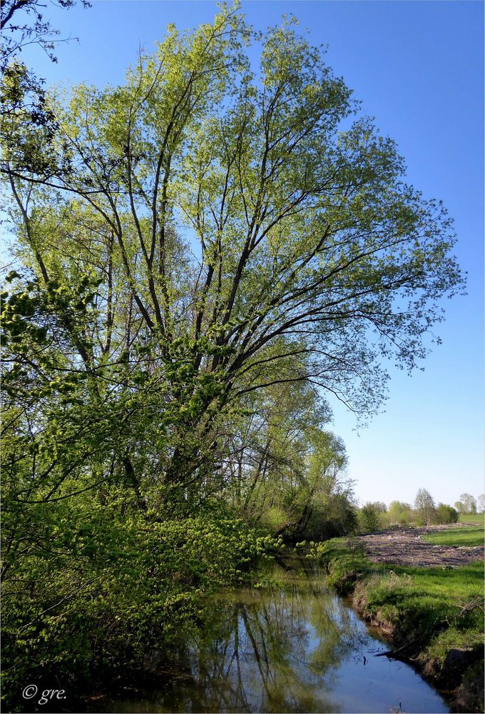 Frühling in Franken