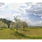 Frühling in Franken