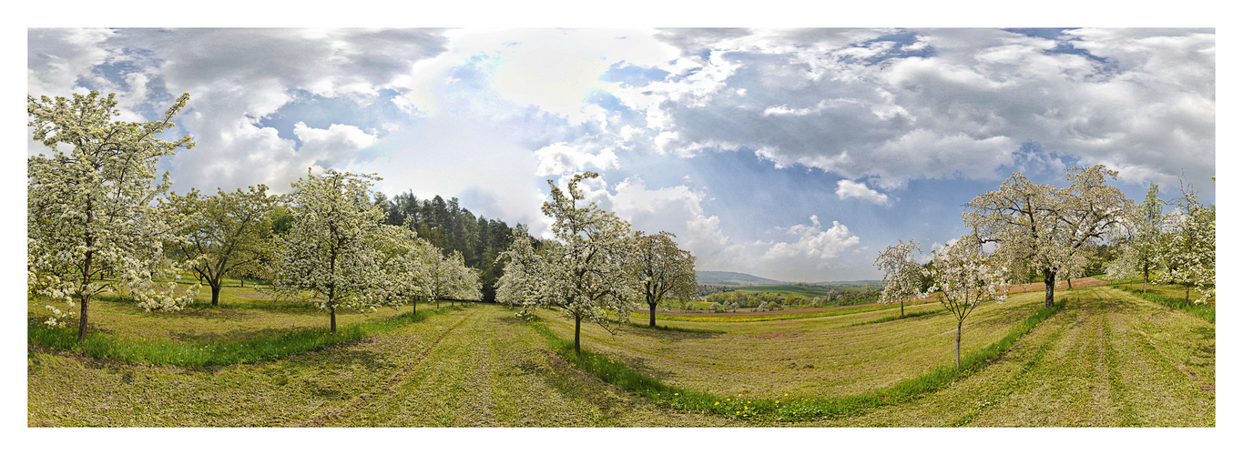 Frühling in Franken