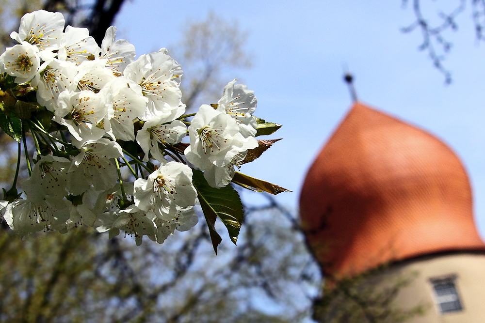 Frühling in Franken