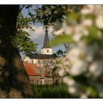 Frühling in Frankenwinheim