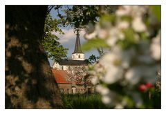 Frühling in Frankenwinheim