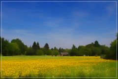 Frühling in Frankfurt