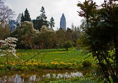 Frühling in Frankfurt