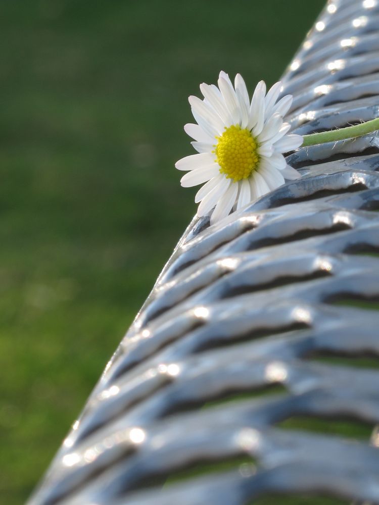 Frühling in Frankfurt von Hubisan 