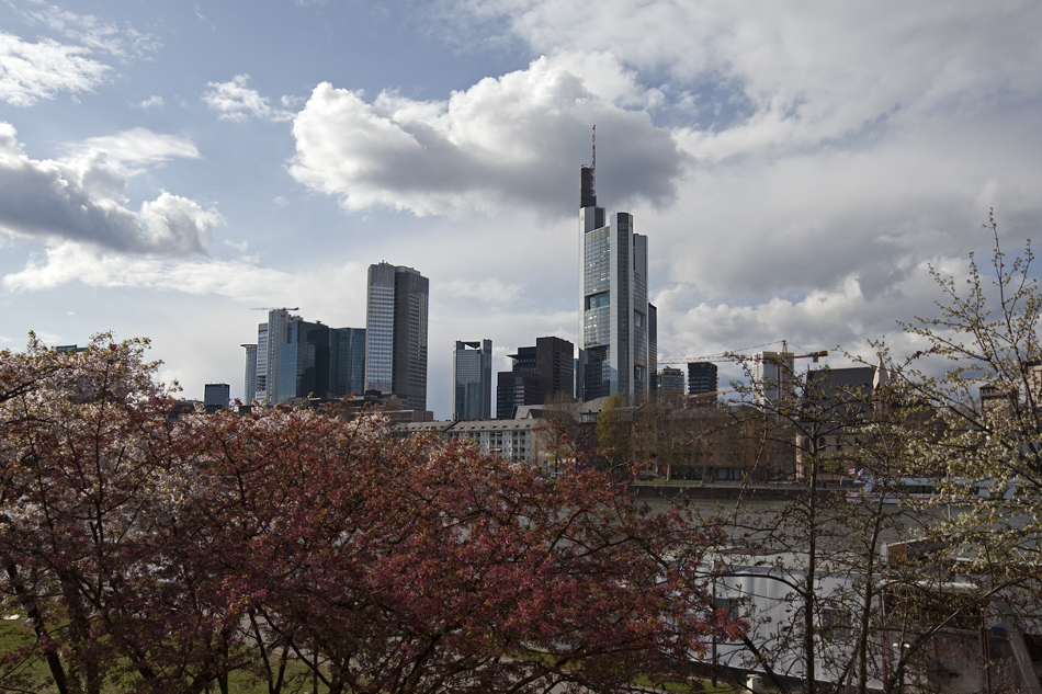 Frühling in Frankfurt