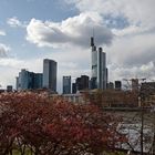 Frühling in Frankfurt