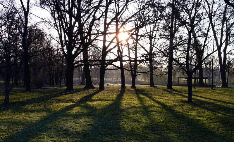 ...Frühling in Frankfurt...Ostpark...03...