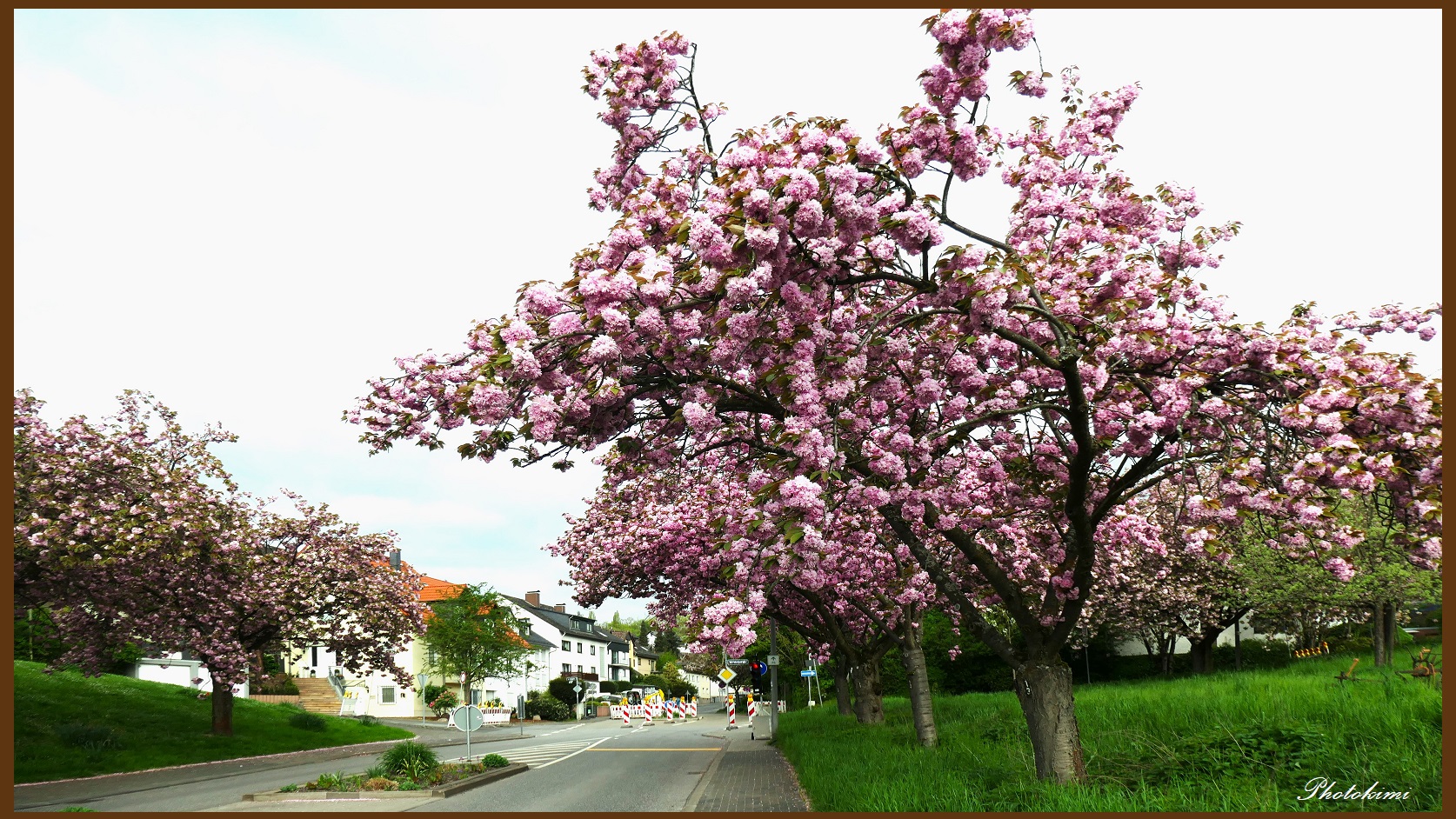 Frühling in Frauenstein/Rheingau