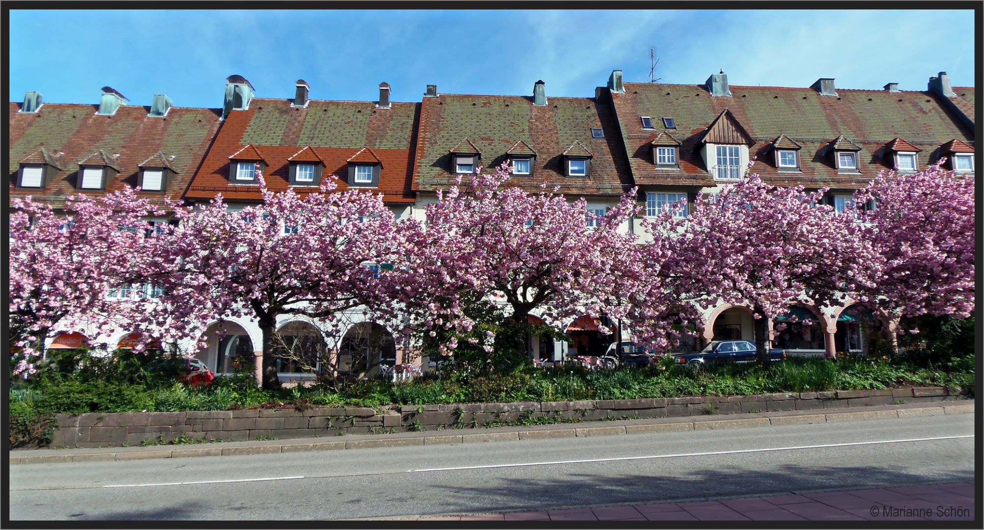 Frühling in Freudenstadt...