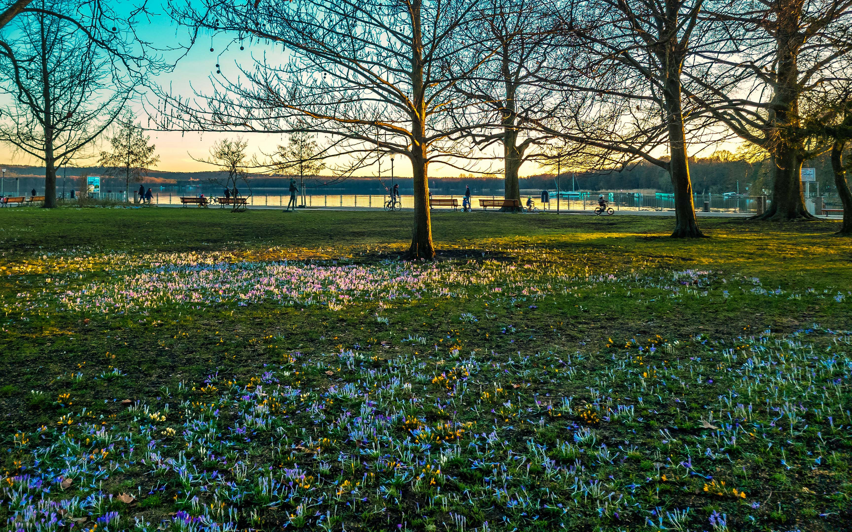 Frühling in Friedrichshagen am Müggelsee