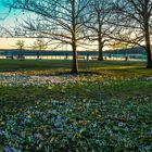 Frühling in Friedrichshagen am Müggelsee