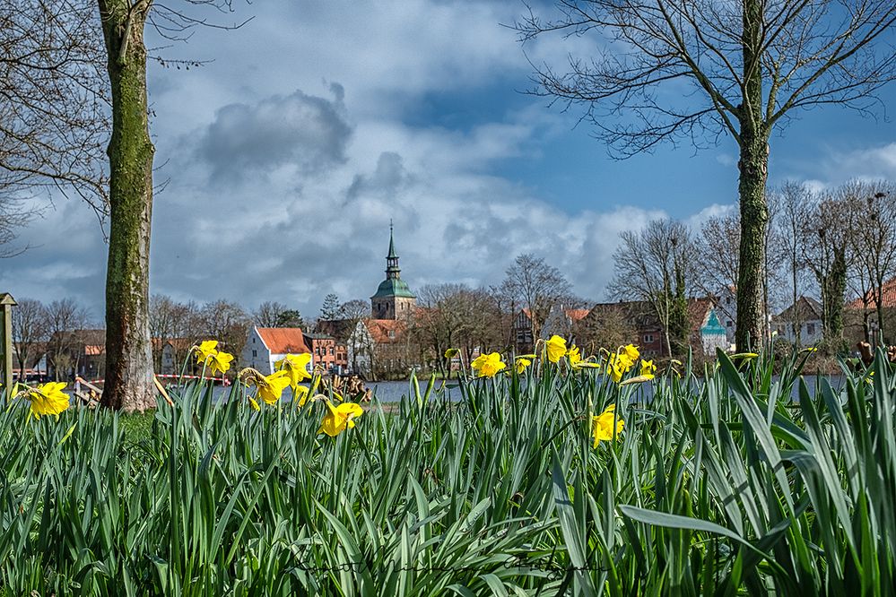 Frühling in Friedrichstadt