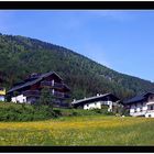 frühling in fuschl am see