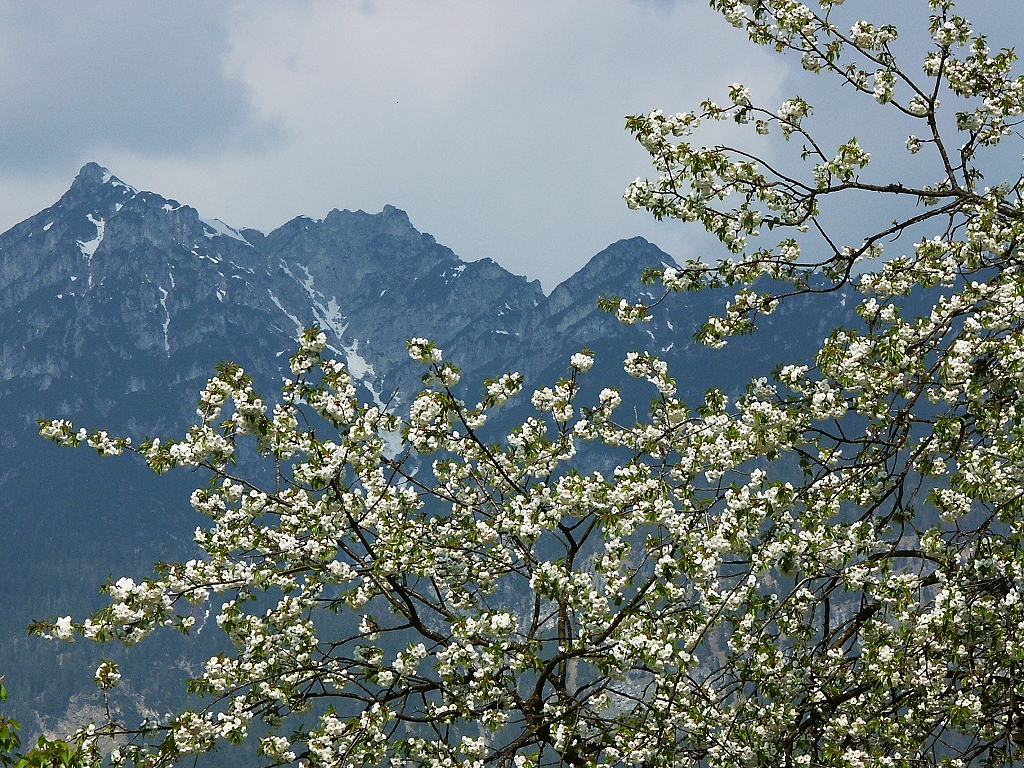 Frühling in Garmisch-Partenkirchen