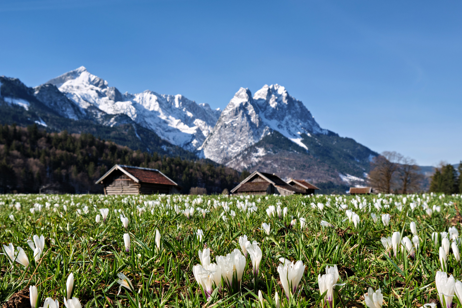 Frühling in Garmisch Partenkirchen