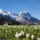 Frühling in Garmisch Partenkirchen