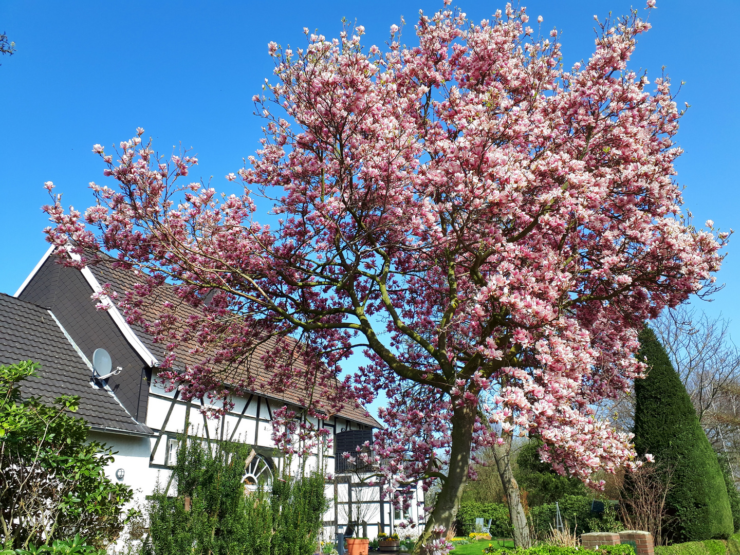 Frühling in Gelsenkirchen, Ortsteil Resse