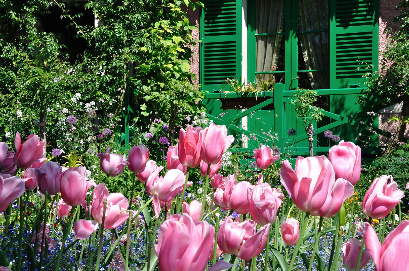 Frühling in Giverny