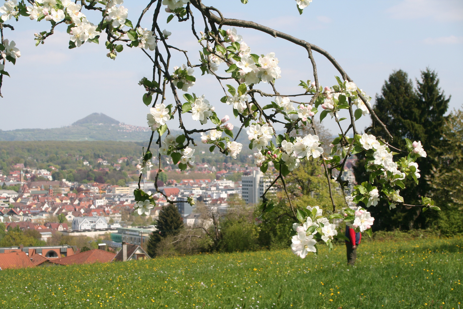 Frühling in Göppingen