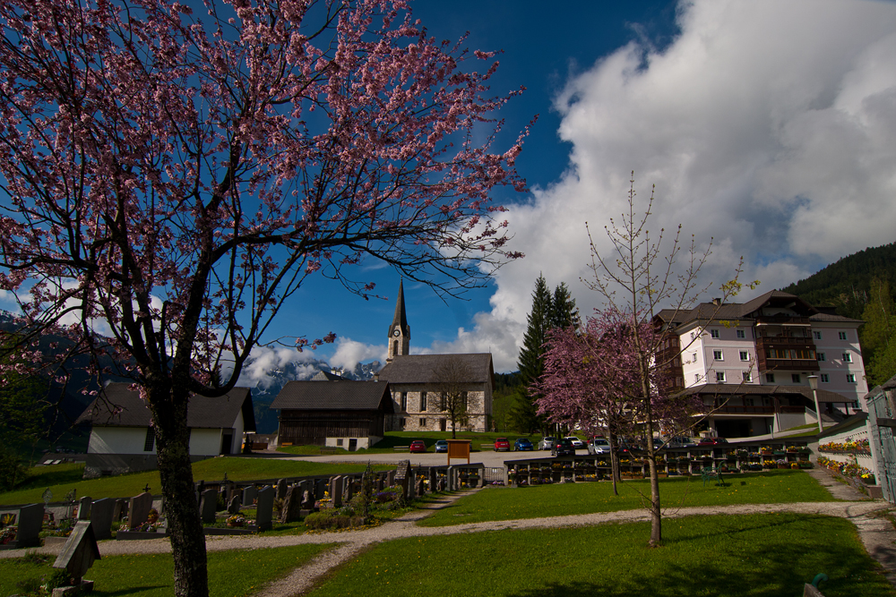 Frühling in Gosau