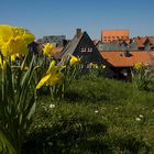 frühling in goslar