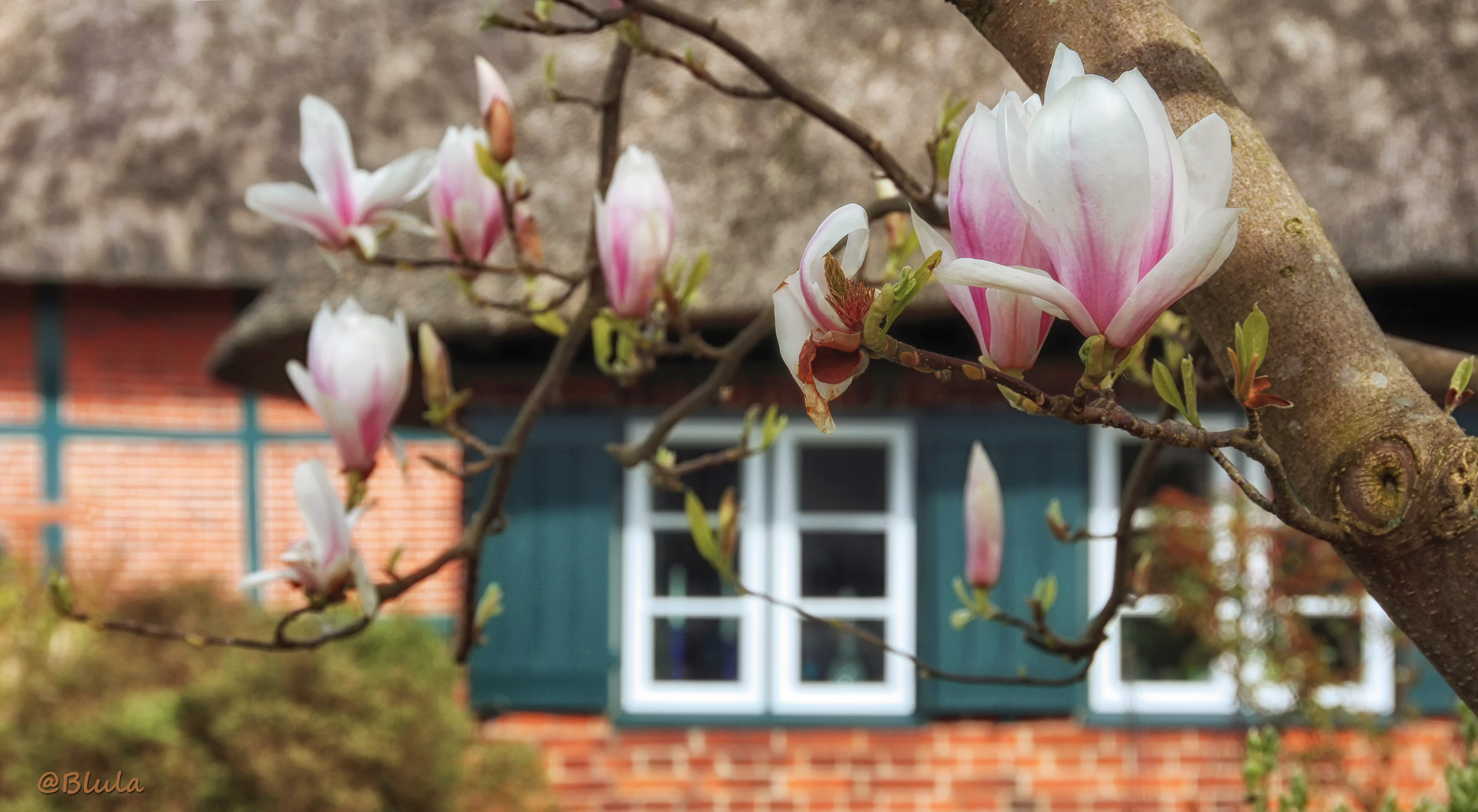 Frühling in Gothmund ....