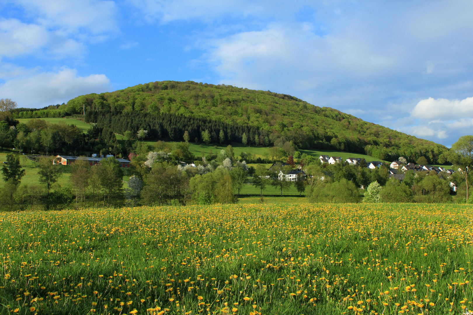 Frühling in Grafschaft, am Wilzenberg