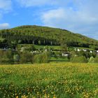 Frühling in Grafschaft, am Wilzenberg