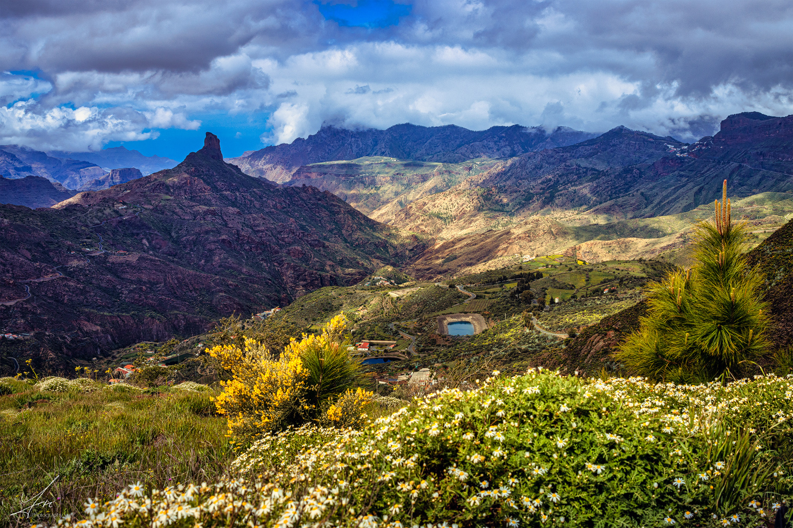 Frühling in Gran Canaria