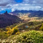 Frühling in Gran Canaria