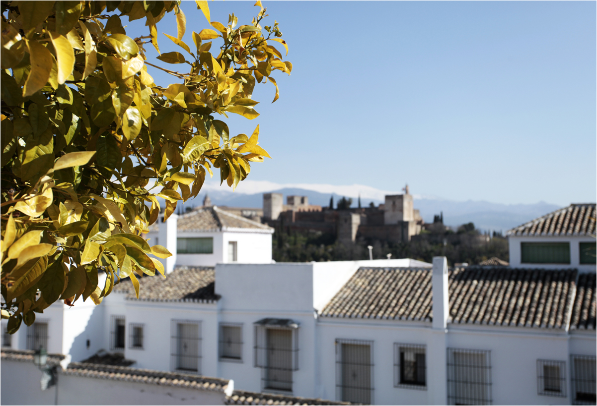 Frühling in Granada