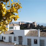 Frühling in Granada