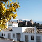 Frühling in Granada