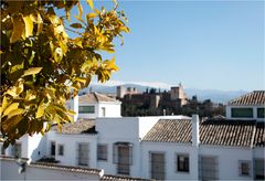 Frühling in Granada