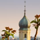 Frühling in Graz