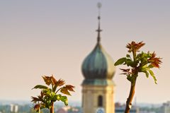 Frühling in Graz