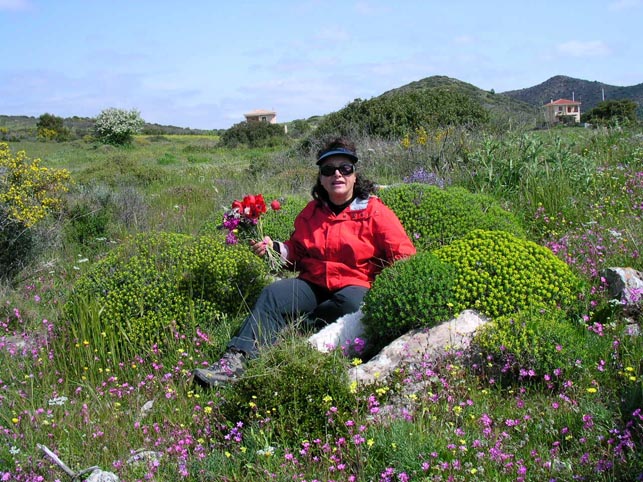 Frühling in Greece