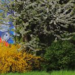 Frühling in Grenchen