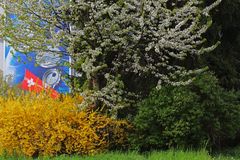 Frühling in Grenchen