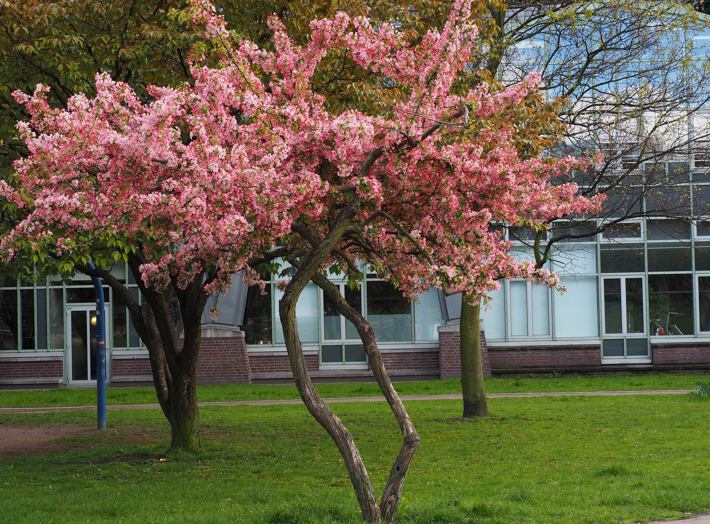 Frühling in Hamburg