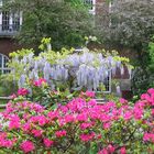 Frühling in Hamburg