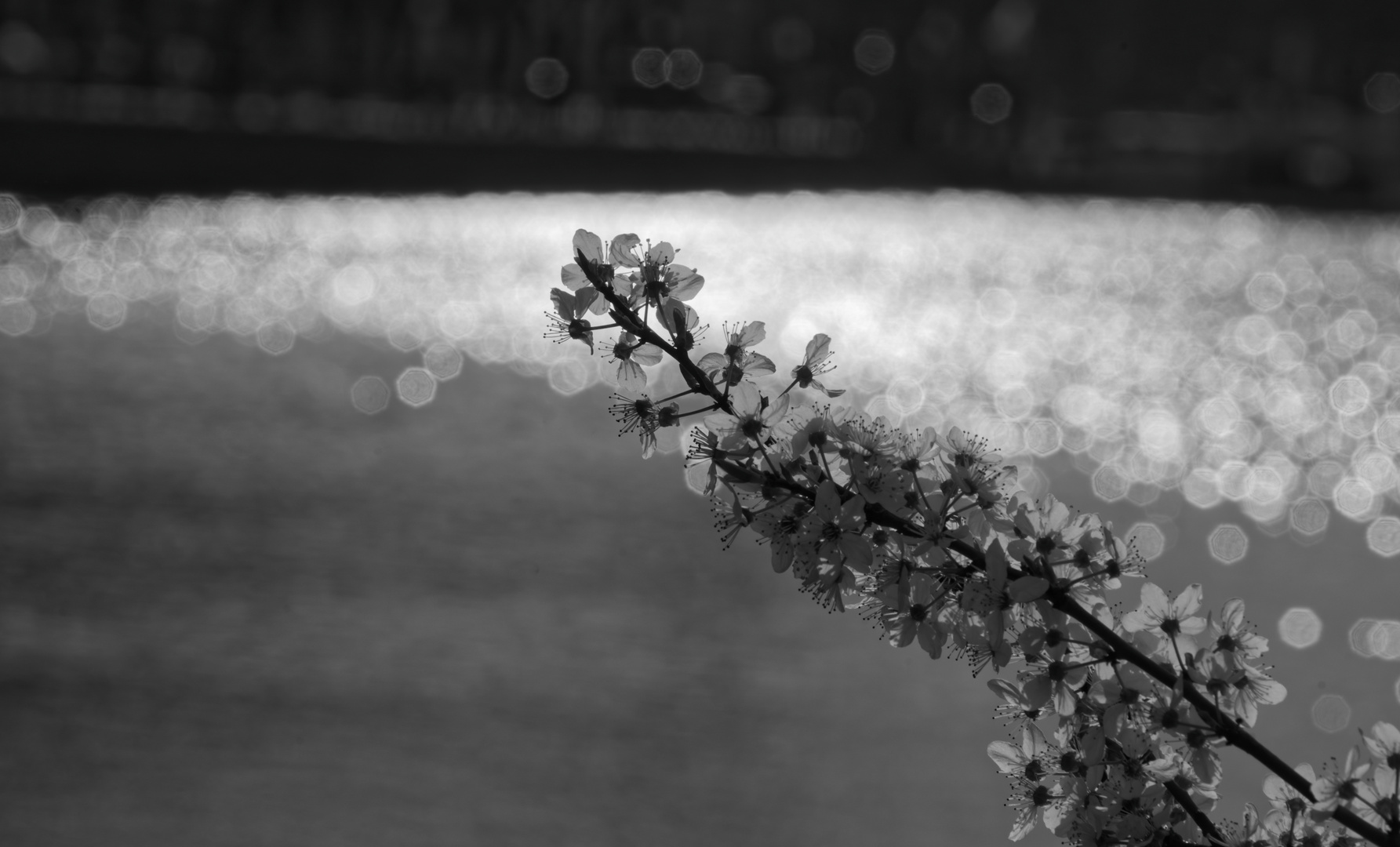 Frühling in Hamburg