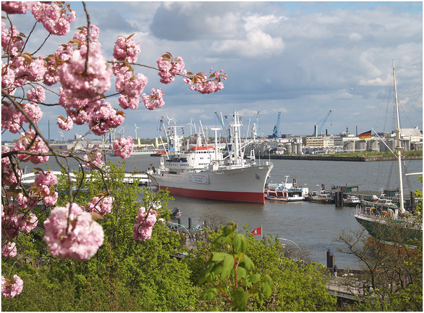 Frühling in Hamburg