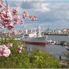 Frühling in Hamburg