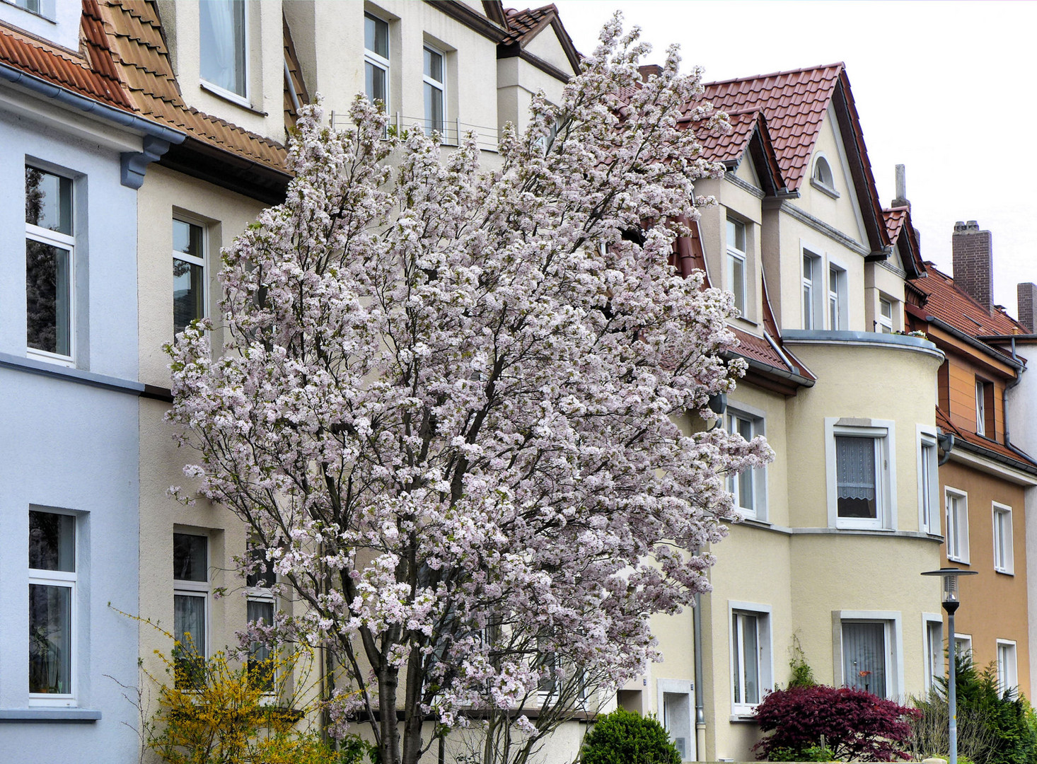 Frühling in Hameln