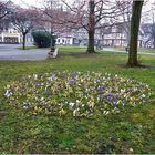 Frühling in Hann. - Münden