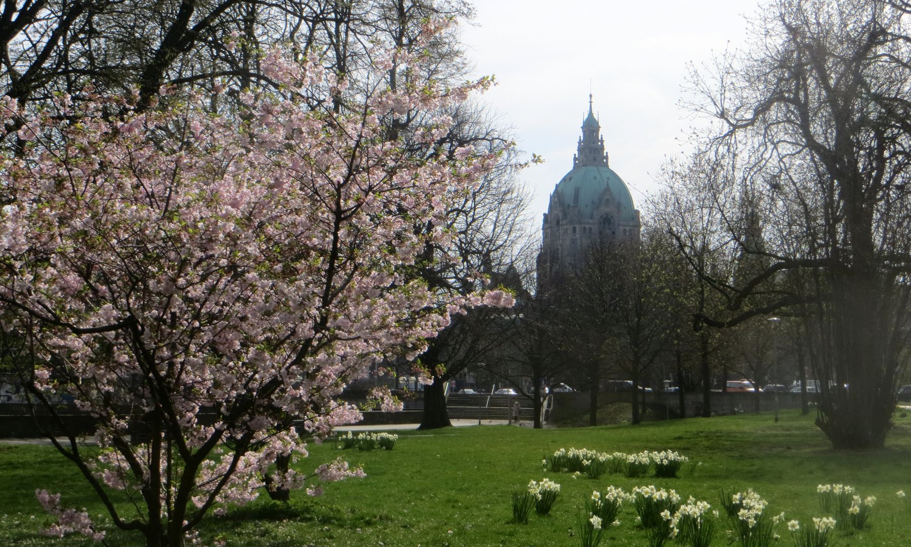 Frühling in Hannover 1