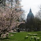 Frühling in Hannover 1