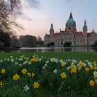 Frühling in Hannover